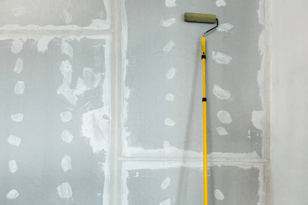 Reliable Spring Valley Village, TX Painting & Drywall Installation Solutions